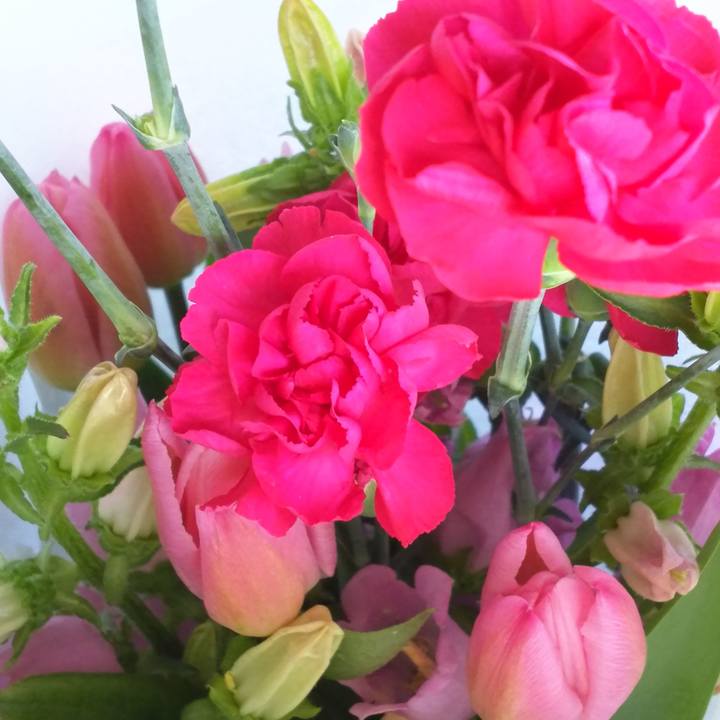 1cff8354 c453 4edd a952 e122fe4b7c2e 1553046808240