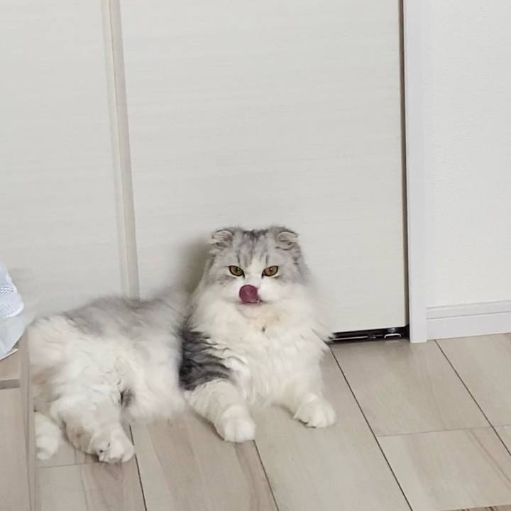 1cff854d 1a35 4d3c 95f6 2a7479f34fdd 1627738406216