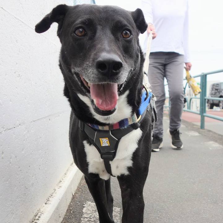 1cff885a 1632 4617 ab6a 3e1c9eebd9d1 1651195093172