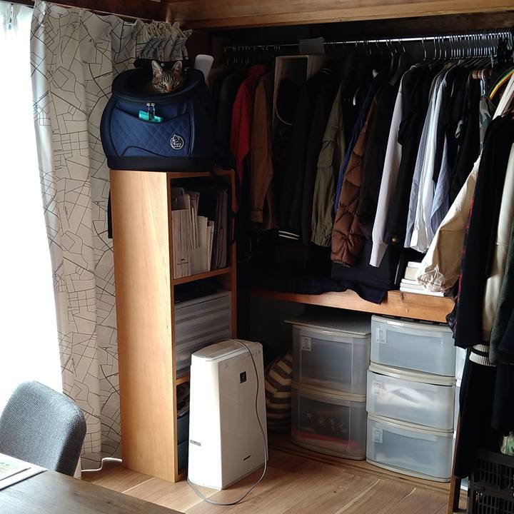 1cff8bd0 dd34 4141 a44c 88642a1b3bed 1686092319298