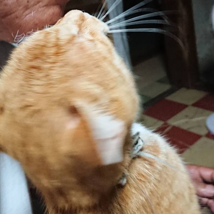 1cff8f10 54a8 4740 a3de dbc65a8f0aed 1593631465807