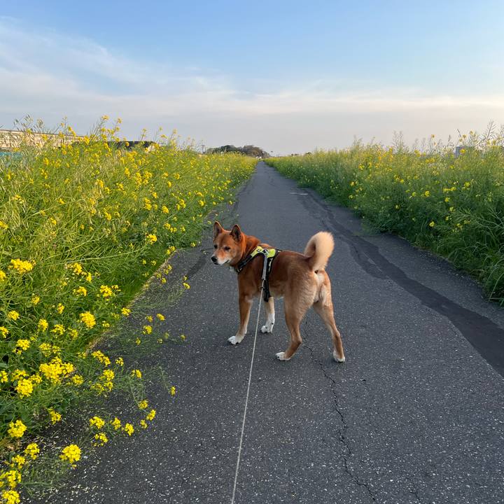 1cffab85 2dc1 48dd a280 49a98992081d 1713097129241