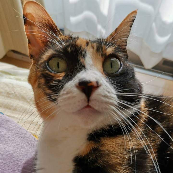 1d000cd3 384c 4ebc bd9d 0461da2d38e9 1673411006564