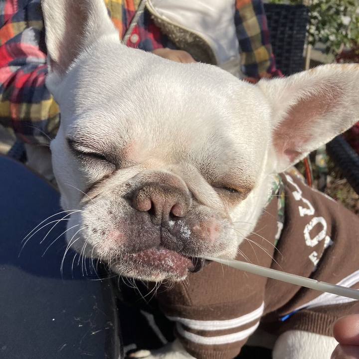 1d001e8c b443 496b a39f 7a0e2c2d54a5 1677233365821