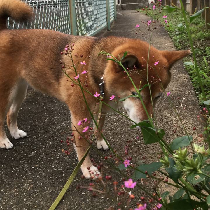 1d0062bb 7bef 4172 854e a7918debfd0d 1563710944938