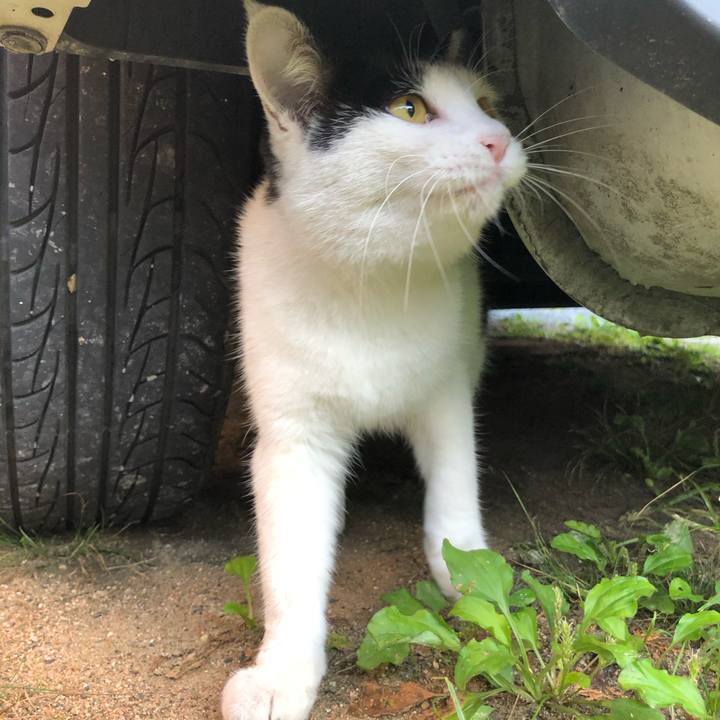 1d00ae7d 0e79 407b 8b63 9cdab451e1c2 1600812670977