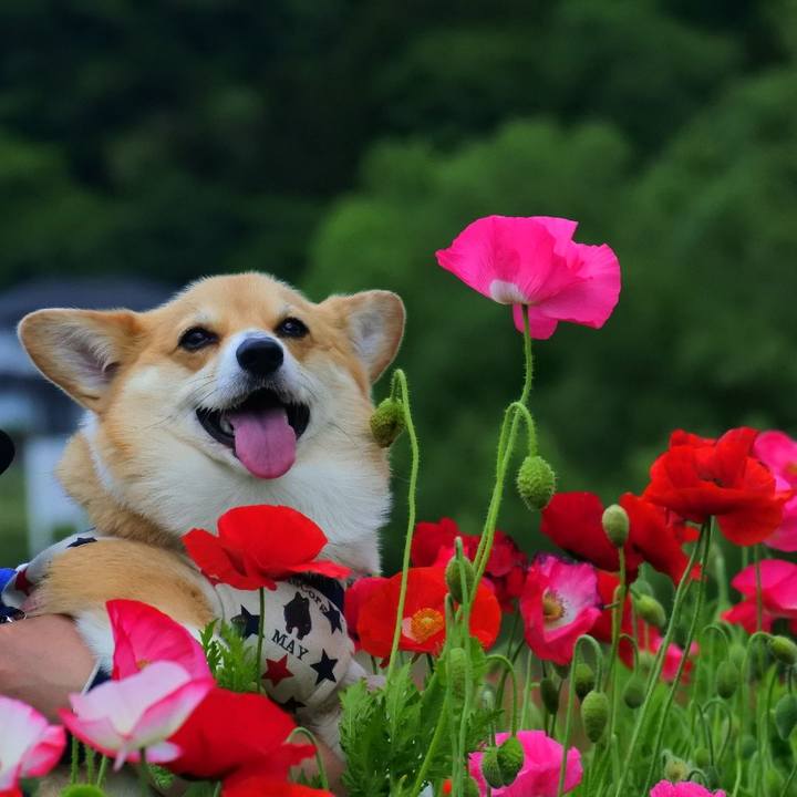 1d00c18d f6da 4687 b2e1 531d8d50aa38 1622380246605