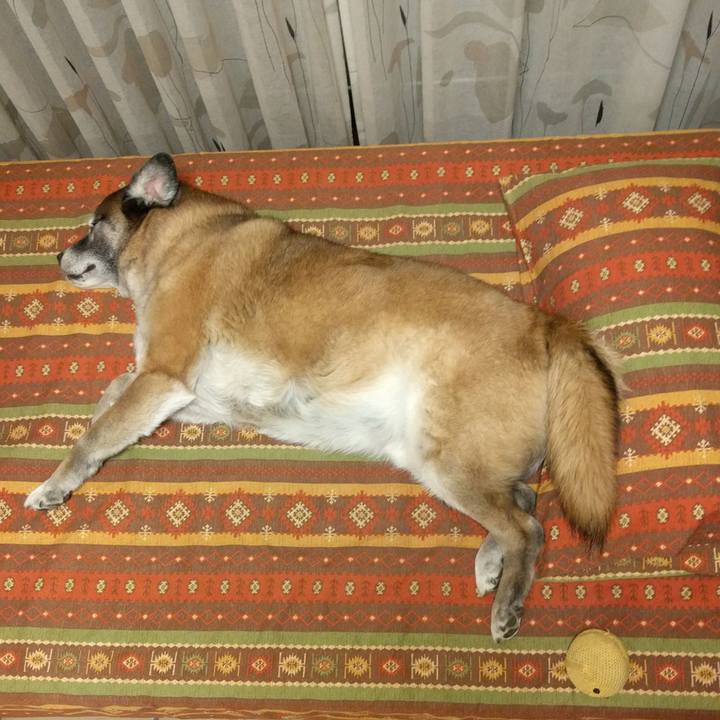 1d00edfd 44b4 4daf b691 9a3747d5fa82 1523797753477