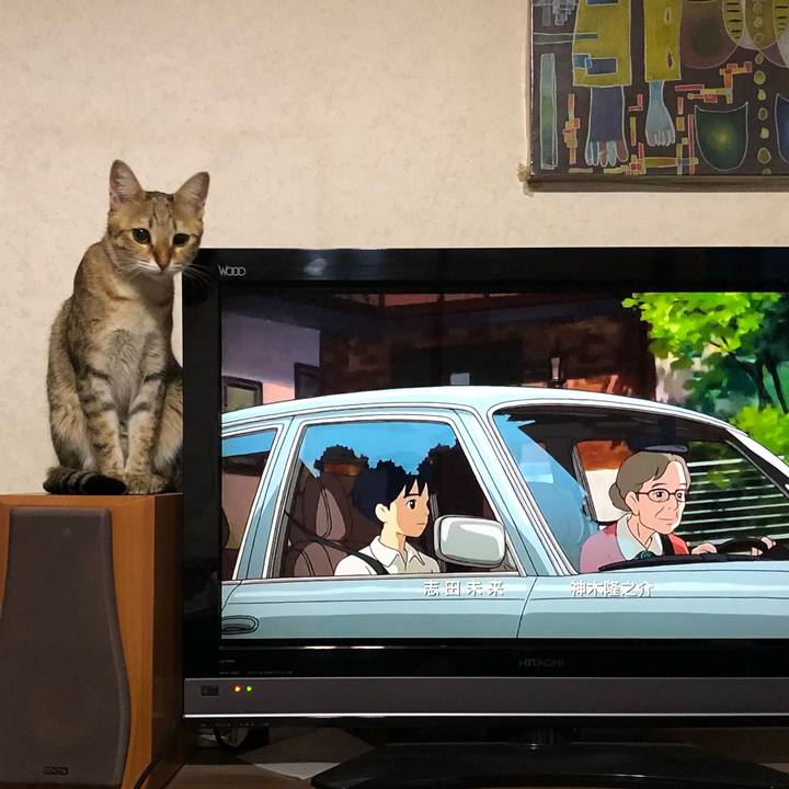 1d0124bb c6d8 4889 9d90 0061c0e93d98 1606124881321