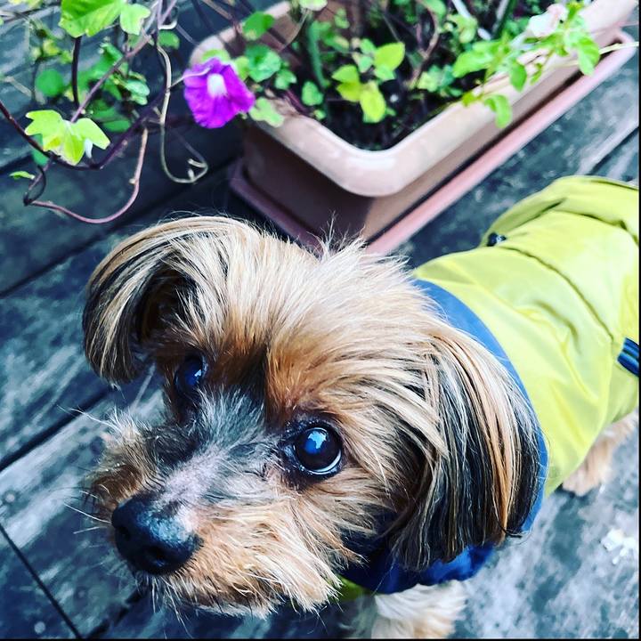 1d0125a1 4cb2 415b bea5 6214b7e4b889 1666299628142