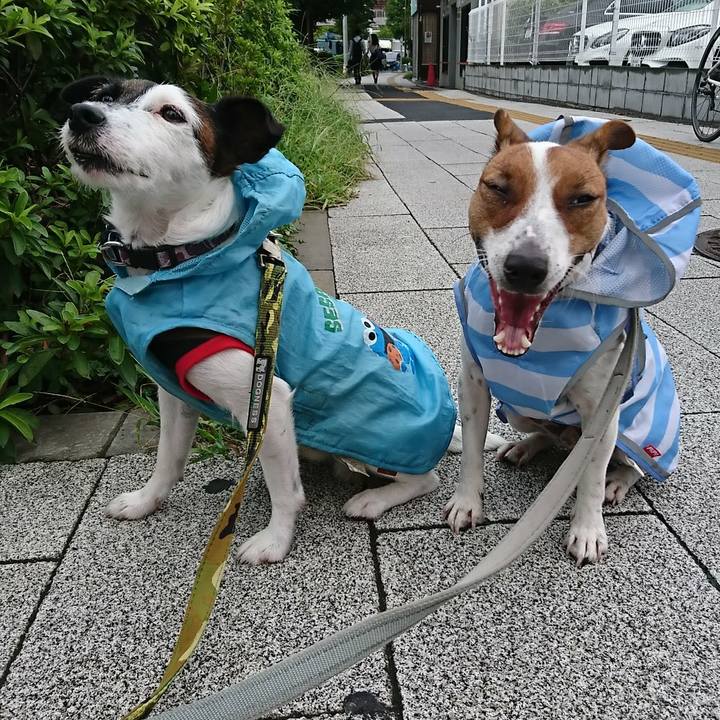 1d013d2a 7577 43fc aa99 db502af3b45b 1536273048139