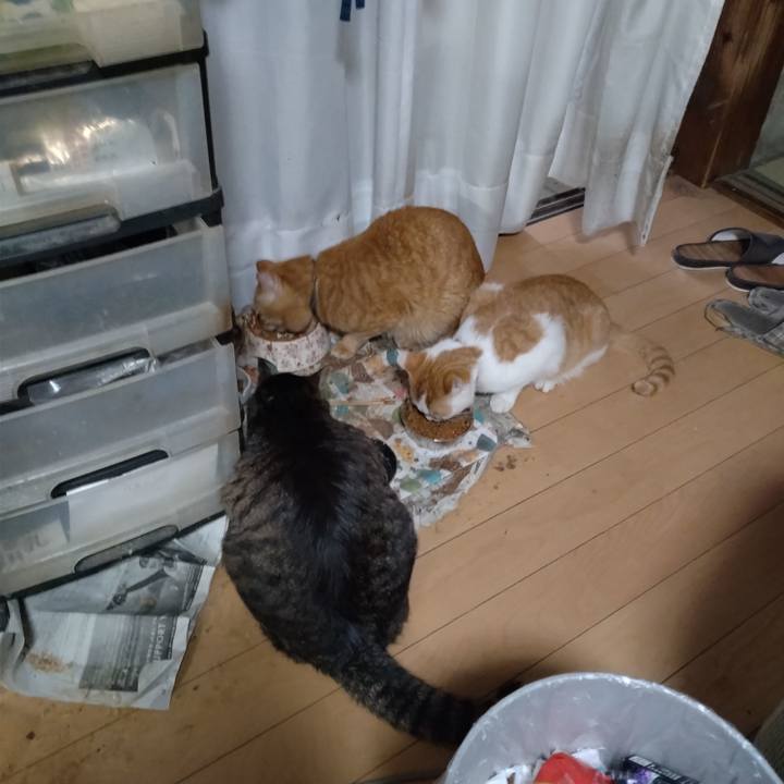 1d016d78 8dfd 4ee6 a8a4 a235224872b0 1743115284898