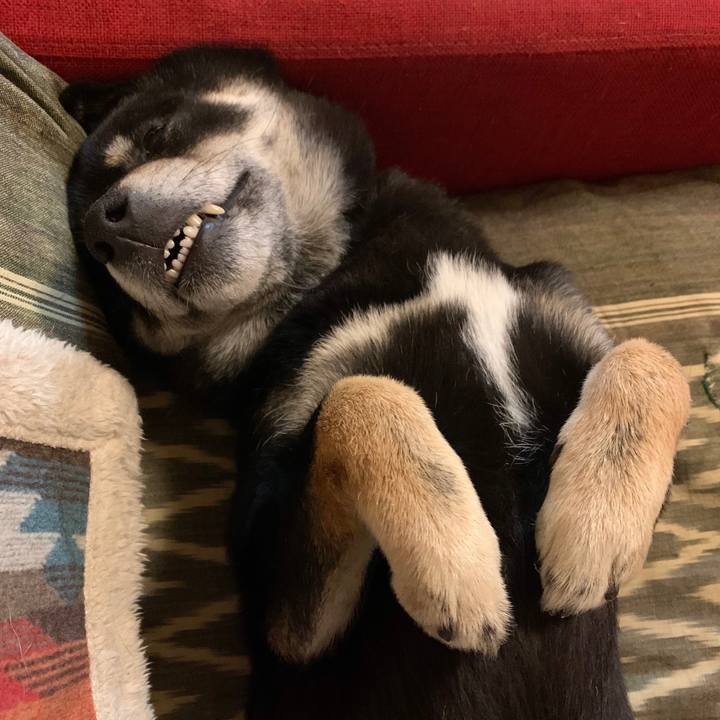 1d017e99 9c52 41a0 9d5a 51158388ed00 1580581313654