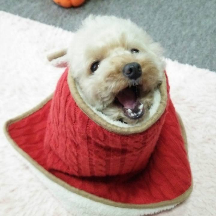 1d017eb3 2e58 4bfc a44b dc4c0fe8c793 1539781353426