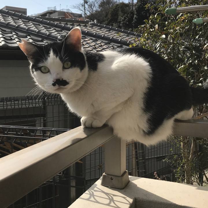 1d0181ab acb8 4cb3 94b6 eb54b392609d 1549776882917