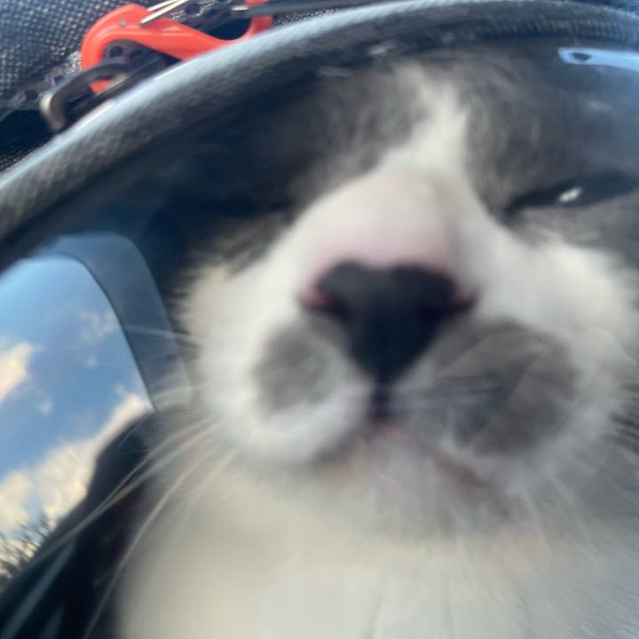 1d01c880 24bb 45a4 850a aa9dc4c6c914 1735972353465