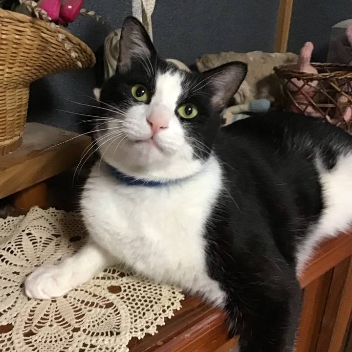 1d01cae0 1524 41ca 92de 48b95ddaebbd 1754209134334