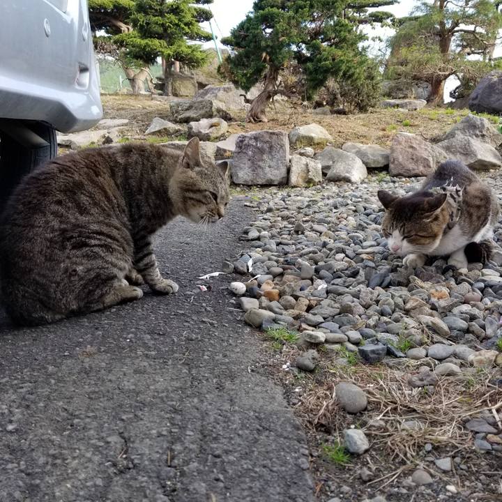 1d01d61b 72bc 4d8a bf02 3aa148cd6942 1590654647754