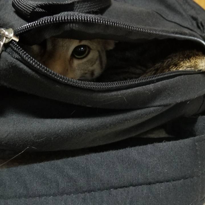 1d01d9af fadb 41ef 907e 2072046d0461 1568210807019