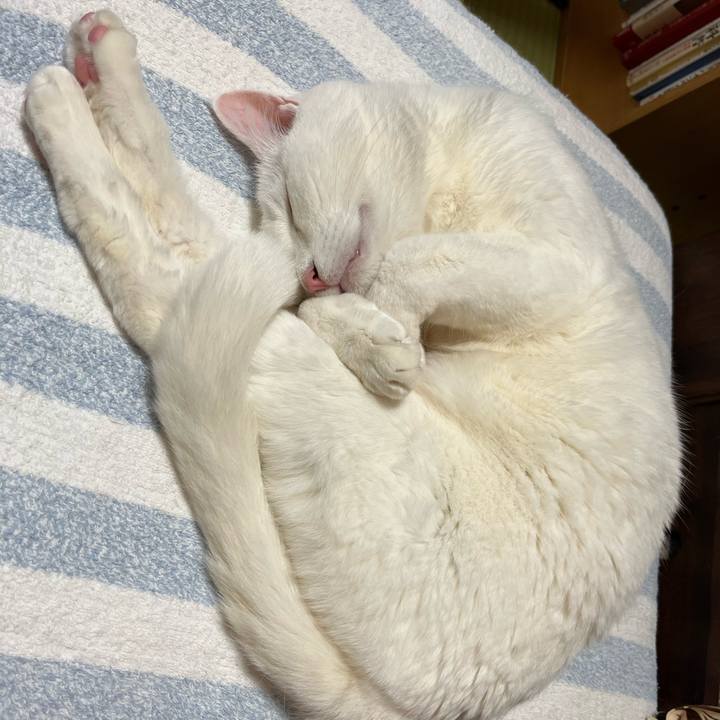 1d01ff64 2ec8 4209 aa12 9fa3643790ff 1717917942673