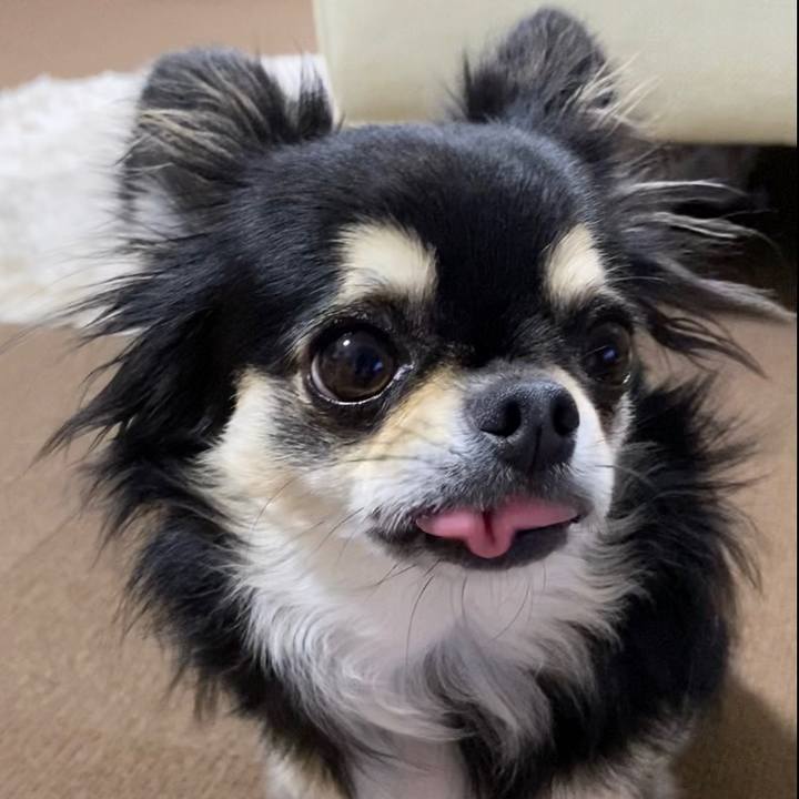 1d023524 fdfe 4e5d b707 3e90fdeb1fde 1629934476999