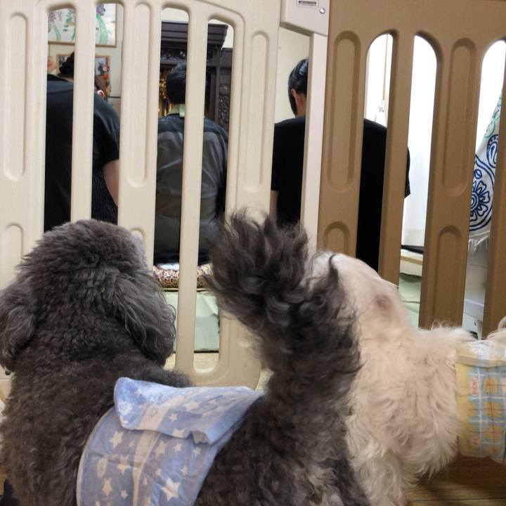 1d026d52 a8eb 4e8a bbf3 b3d705f6e3e9 1565659313671