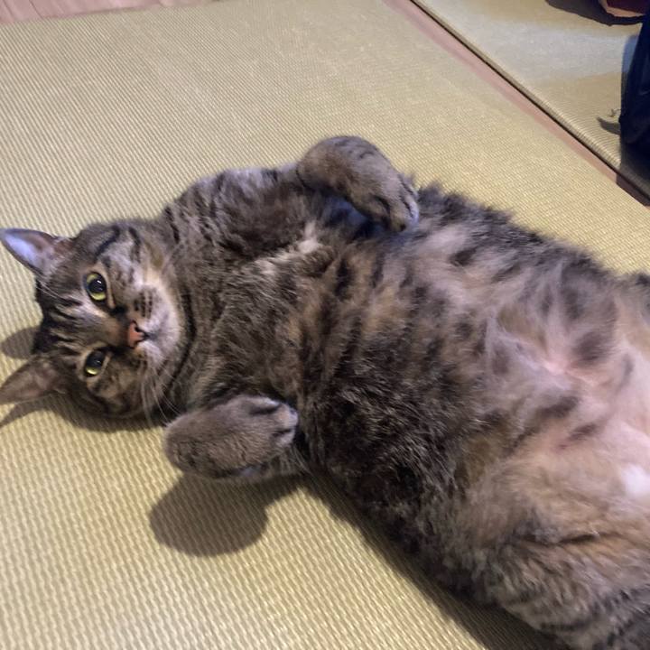 1d026d94 1bc9 4859 8cf7 d8cfd344954b 1746251330942