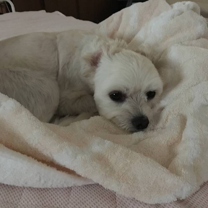 1d027ef5 e094 4230 83be ddd7bc996bc1 1534631069377