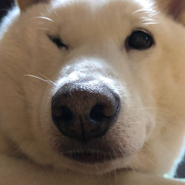 1d029ec9 f4da 49cf 9e0f 2187d8501917 1631929132019