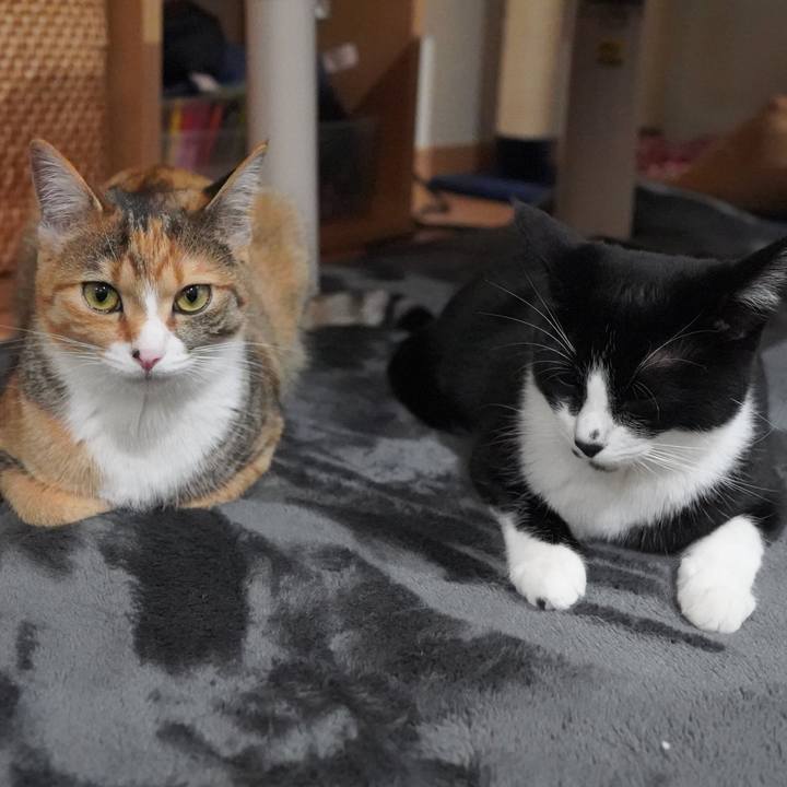 1d02ad42 67ad 41e6 9d29 78298a3dcdf0 1587474766975