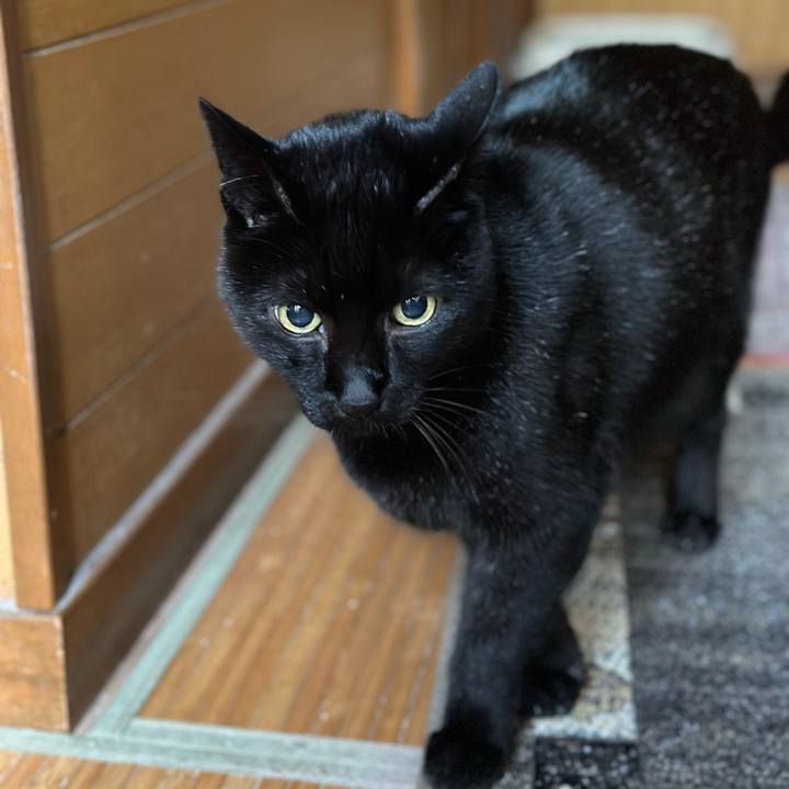 1d02c2b1 7928 4e8a 9281 dc86df2ae251 1672874940748