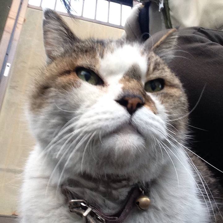 1d0345e3 df9d 4acc 8dcf e7ba9aaacd08 1513181310992