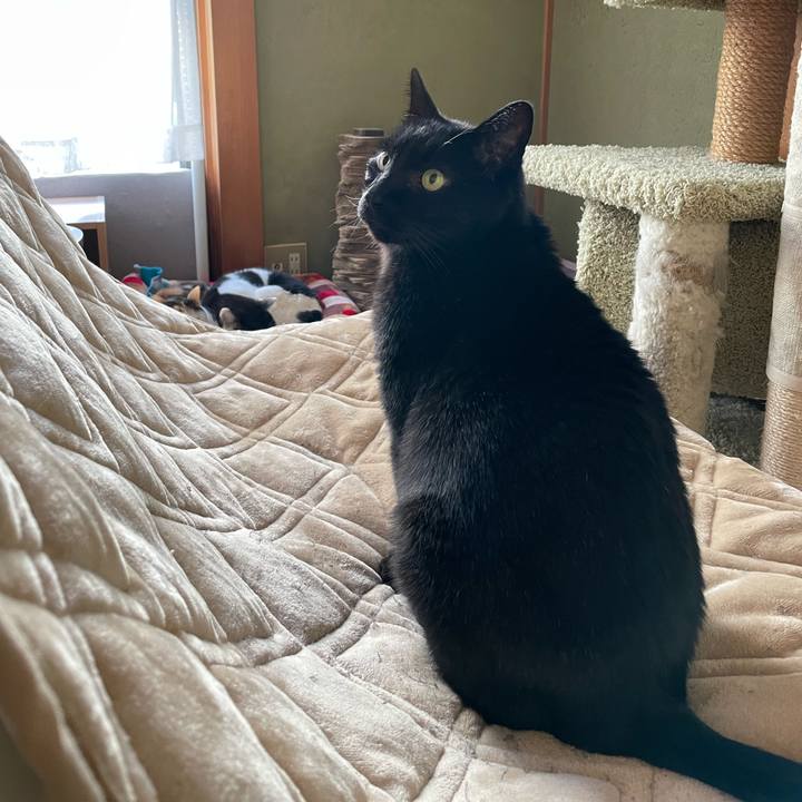 1d038744 4114 4d4d 99a6 c4804f57cf1b 1641519776878