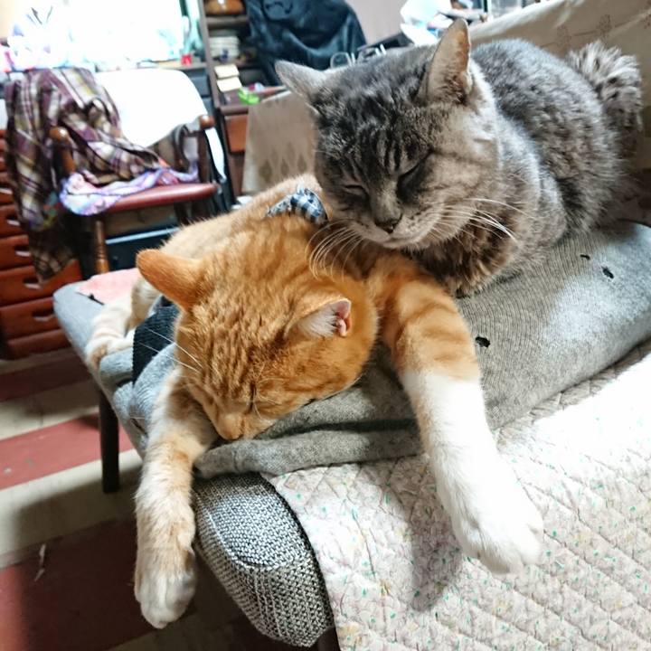 1d0417d3 4621 4c73 9425 6637fc201b60 1575796263946