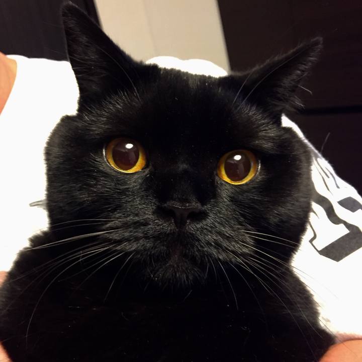 1d045287 683a 41ba 9ce4 63d97315edcf 1530103258550