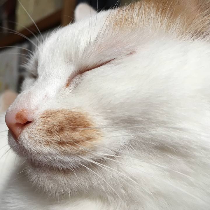 1d04587c 171c 47d2 ac2c 4eeea2a72d80 1523174075289