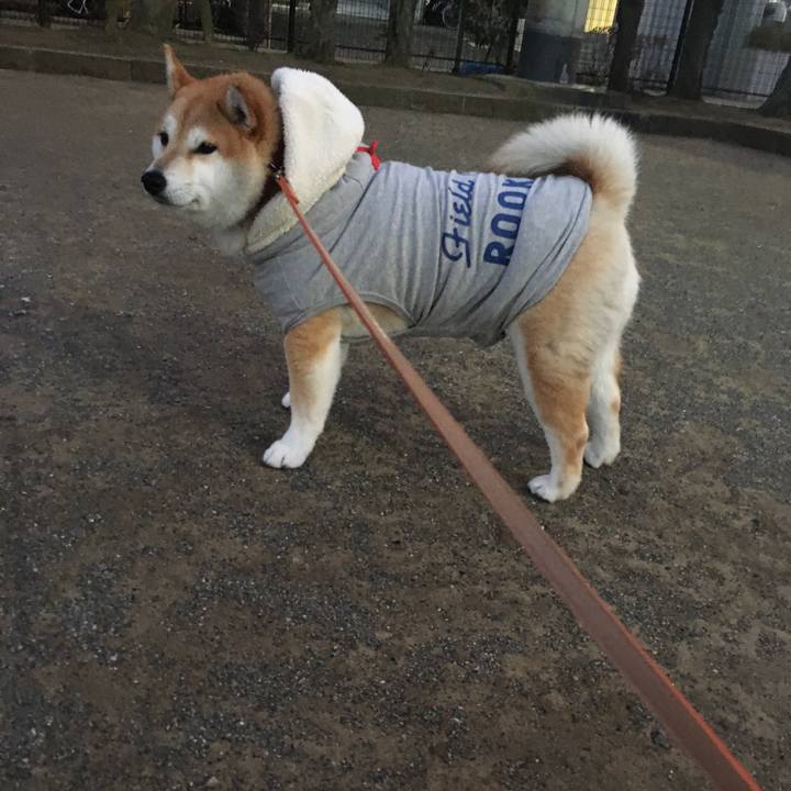 1d045b19 b776 49bb 94ce 695104714b03 1577437222009