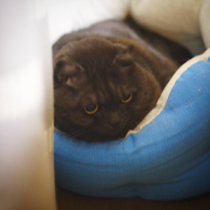 1d04bc00 a527 406c b4ff 95adc27ad3ce 1617722328303