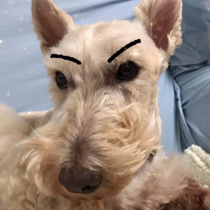 1d04dc79 ba87 49c3 a621 ab21c8071382 1562976527970