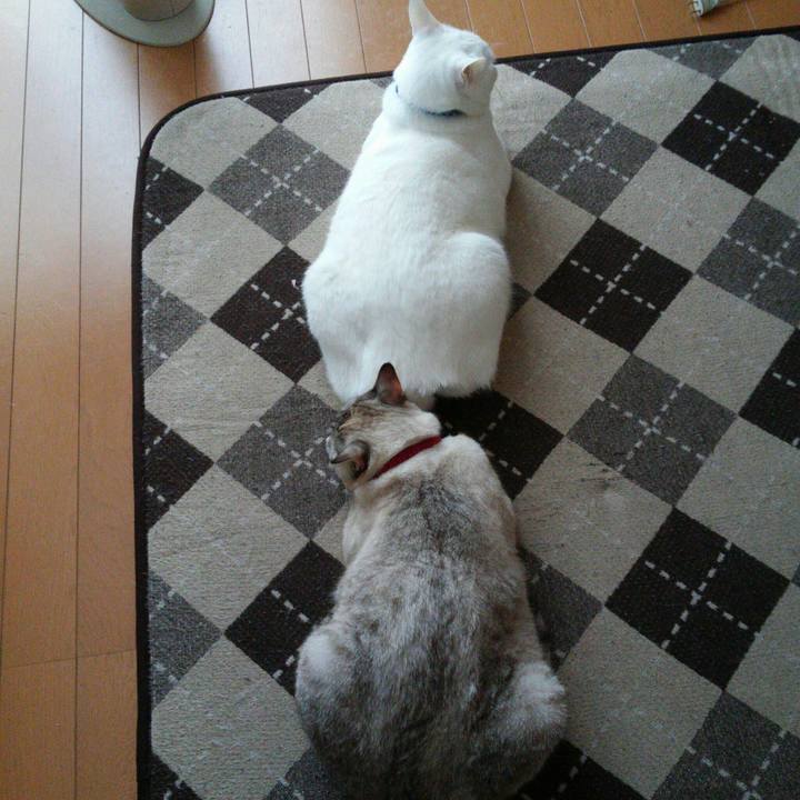 1d04dfe0 20b1 463b a342 daf4baac4ba0 1517545475577