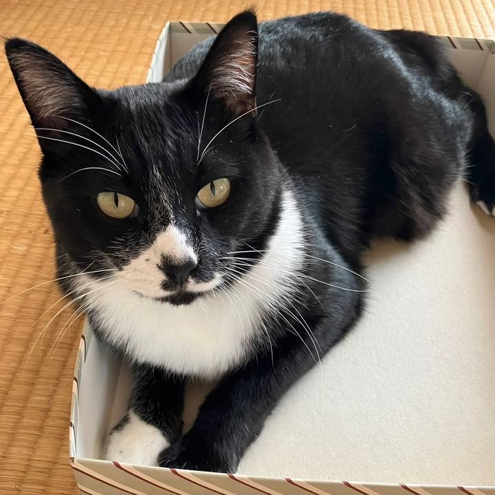 1d04e247 3836 4fea 8666 4bcd62ad3cea 1698896005030