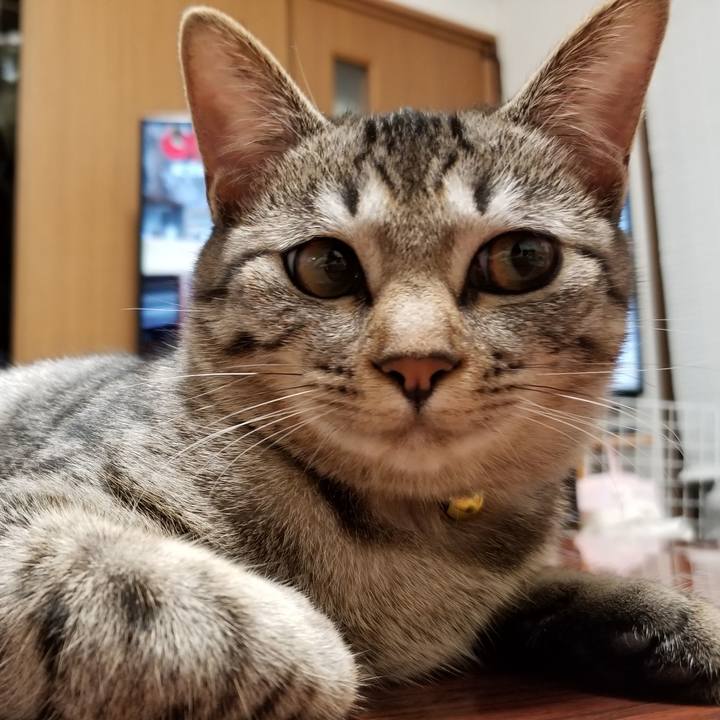 1d050f52 b670 41ed be8f 634a4f4ee8f3 1672387839990