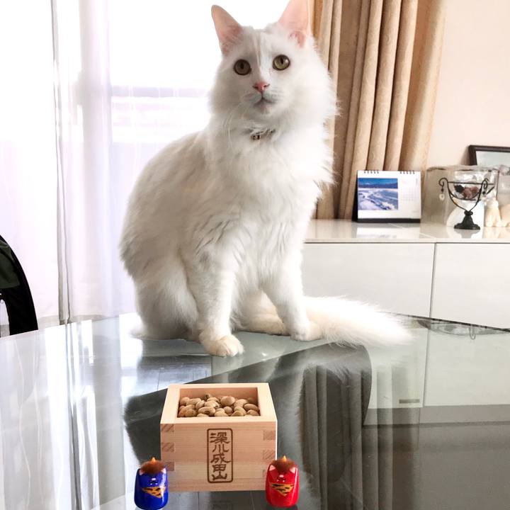 1d0517d5 967a 4f1d b402 cb4a1a0f0f1e 1580655677044