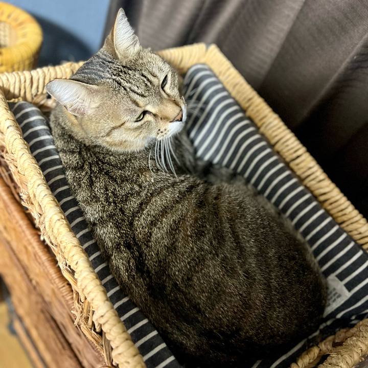 1d054507 2bdd 4e75 aa8a 89b13c8eaf7f 1760273088774