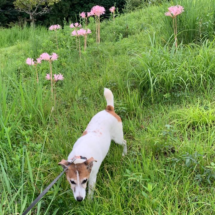 1d05b56d 9410 49d1 9c6e 0dfaf49feb86 1599128560294