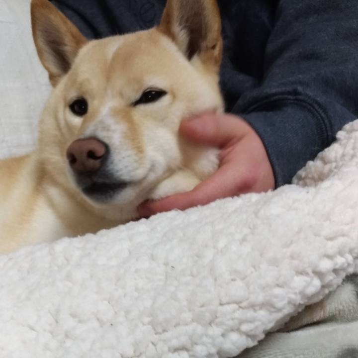 1d05e509 61f1 4ce3 88ab 9d06ff3df536 1610667462505