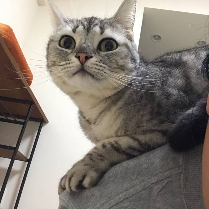 1d05e9d3 bc21 448b b625 47d572fbed79 1551186491528