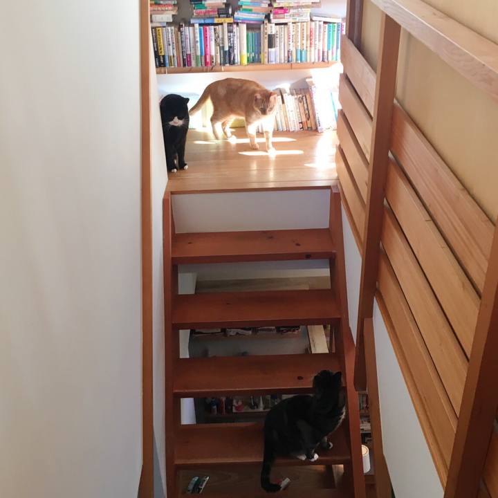 1d05eaf2 3133 4be5 999d 42f2d4bef7ea 1549929904582