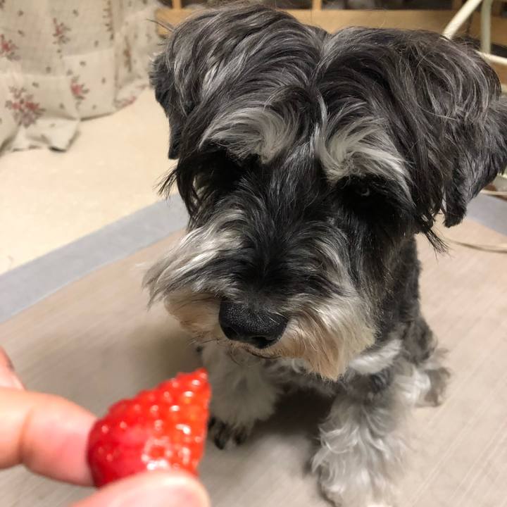 1d05fcfa be71 4948 8a12 34913a4af358 1649944784442