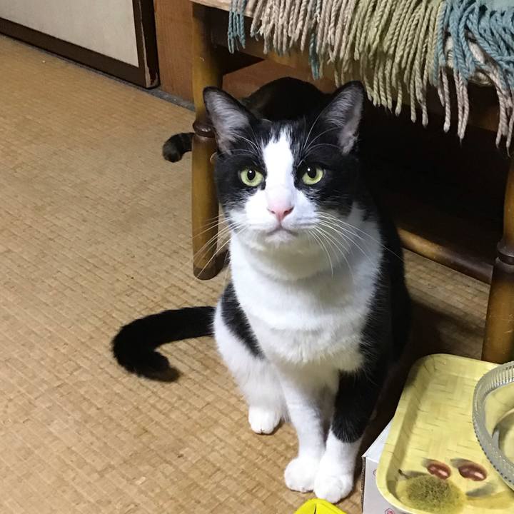 1d061a3c 7edc 4008 a996 595a5c3ef974 1760087757047